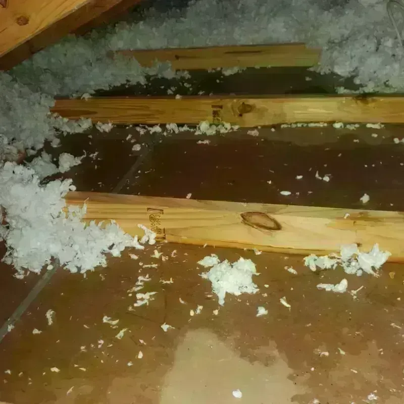 Attic Water Damage in Colorado City, TX