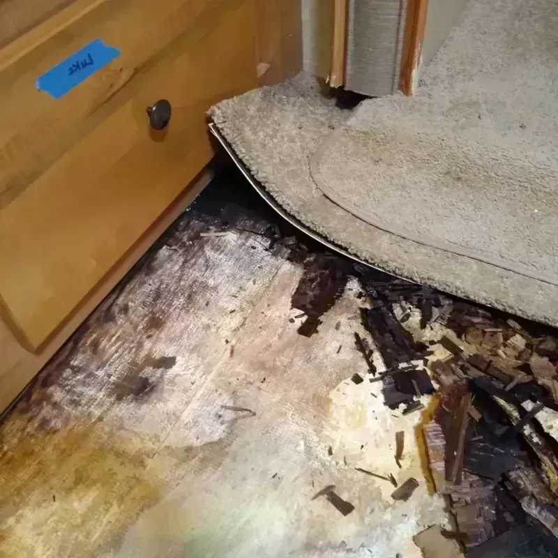 Wood Floor Water Damage in Colorado City, TX